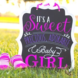 BABY SHOWER PICNIC PACKAGE
