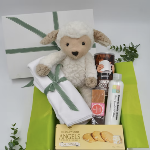 BABY AND FAMILY TREAT BOX