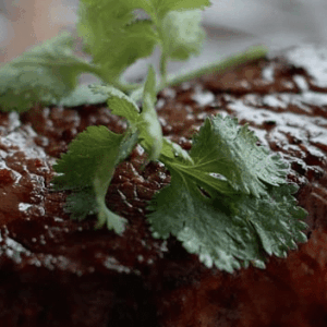 UNIVERSITY STUDENT'S COOKERY COURSE - Johannesburg