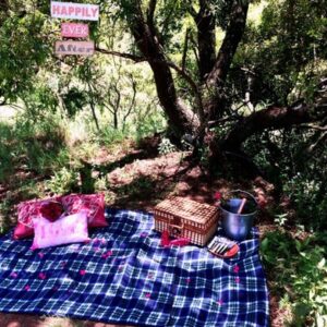 THE SWEETHEART SURPRISE - PRIVATE  PICNIC HORSE TRAIL FOR 2 - Johannesburg/Pretoria