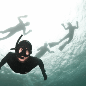 SEAL SNORKELLING (SELF DRIVE) - Cape Town