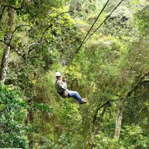 CANOPY TOUR EXPERIENCE - Tsitsikamma