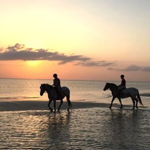 ROMANTIC HORSEBACK RIDE AND PICNIC FOR 2 - Durban