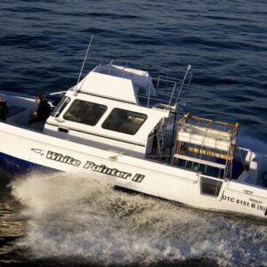 SHARK CAGE DIVING FULL DAY GREAT WHITE AFTERNOON COMBO - Cape Town