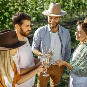 WINE, DINE & FLY - Cape Town