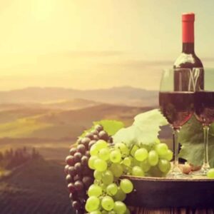 THE CAPE WINELANDS EXPRESS for 2 (20 mins) - Cape Town