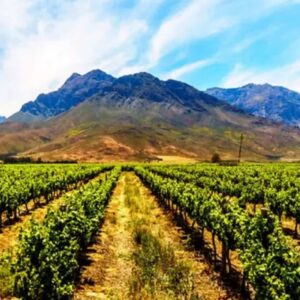 WINELANDS HELICOPTER HOP (20 mins) - Cape Town
