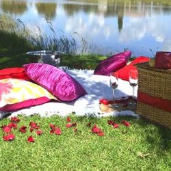 Romantic-Picnics3.jpg